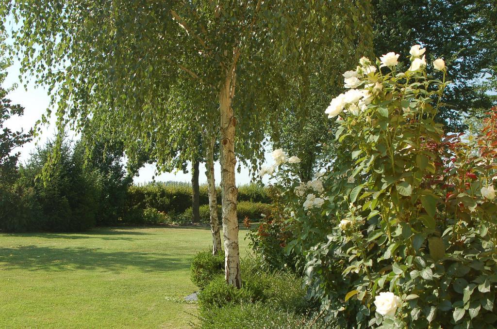 B&B Temenos Parma Eksteriør billede